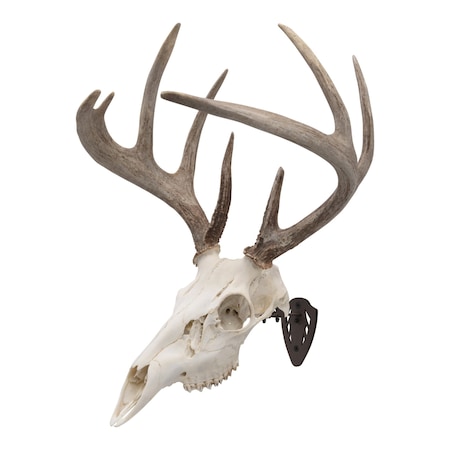 Allen Co EZ Mount Skull Hanger, Fixed, Brown 7228